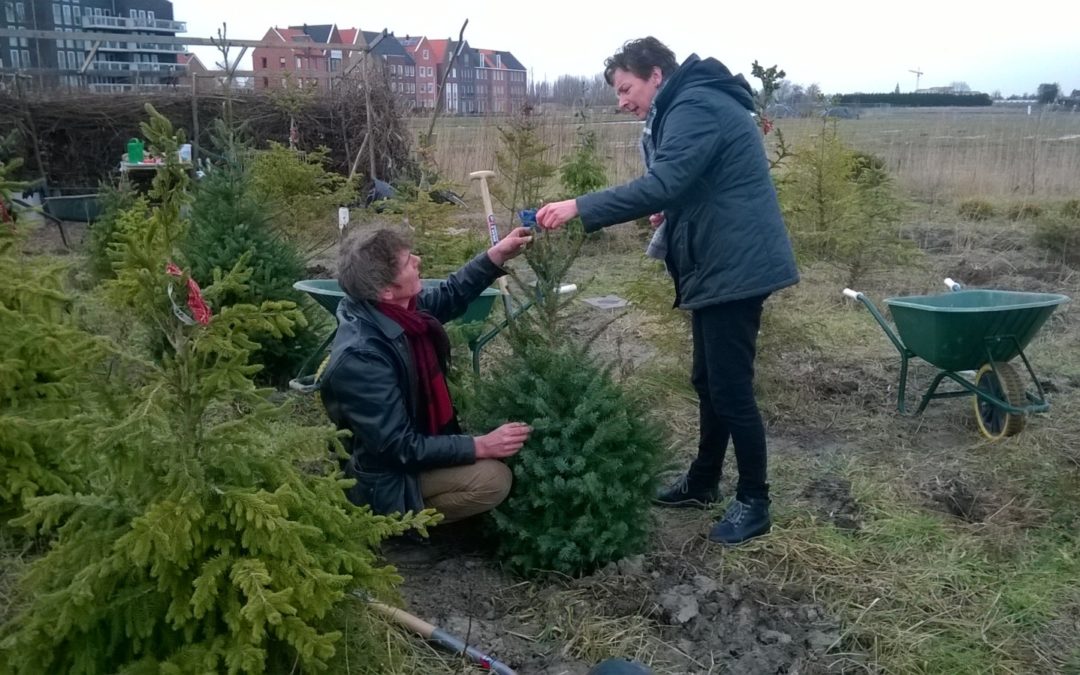 Vrij Groen – tuin in Leiden en Oegstgeest