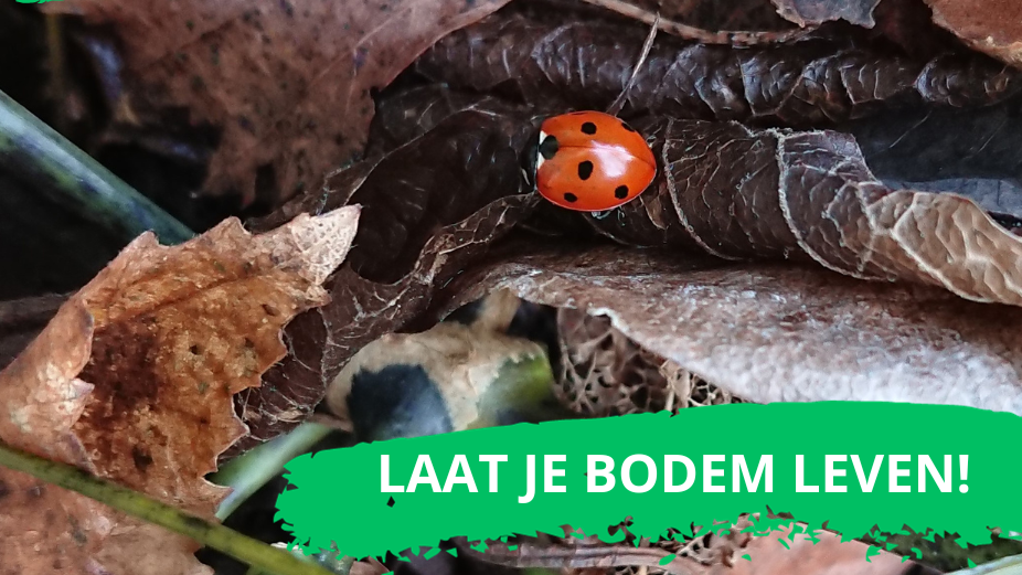 laat_je_bodem_leven_visual 16-9